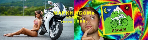 прущий лед Алзамай