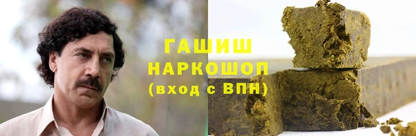 хмурый Алексин