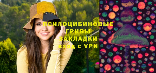 прущий лед Алзамай