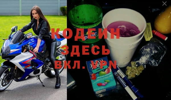 хмурый Алексин