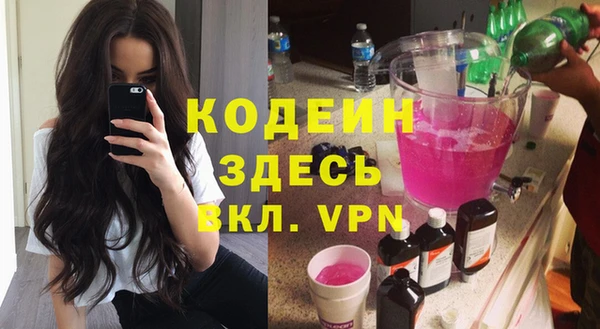 хмурый Алексин