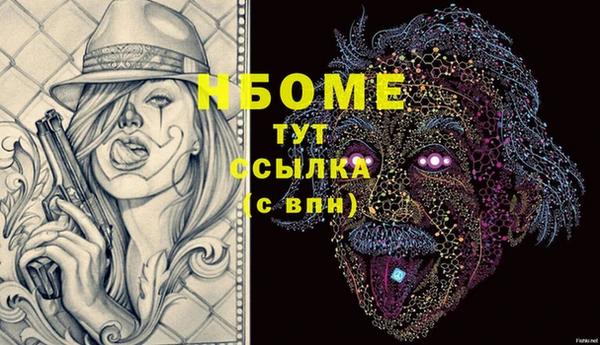 прущий лед Алзамай